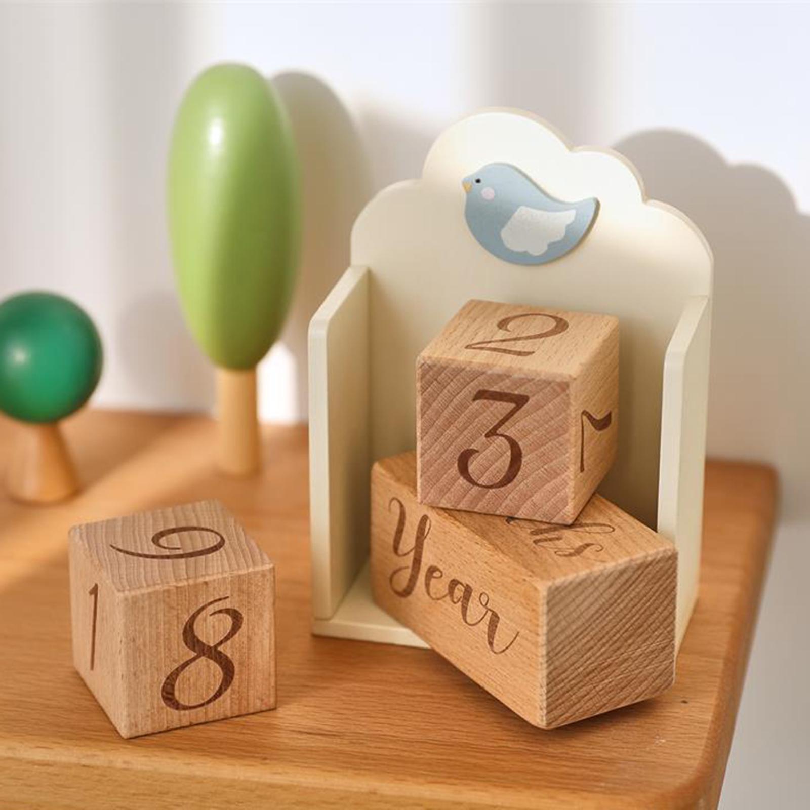 Wooden Baby Age Blocks Unique  - огляд і ціна Baby Nursery Age